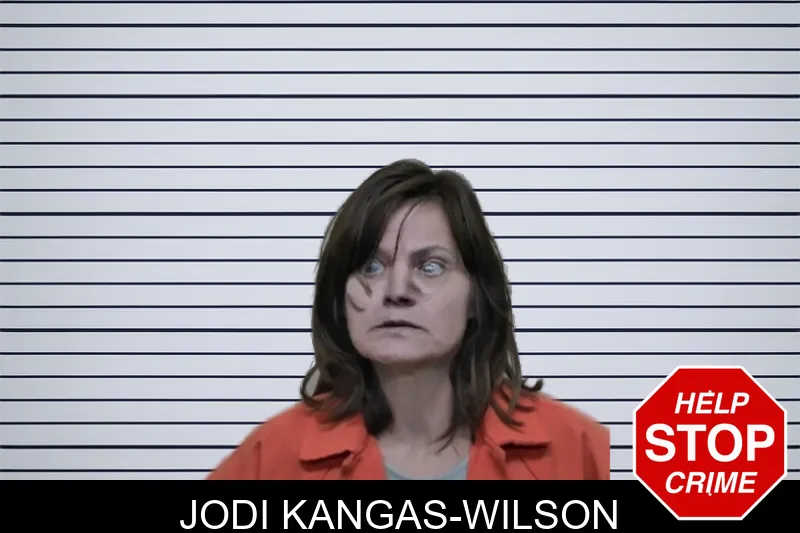 Jodi Kangas-Wilson mugshot