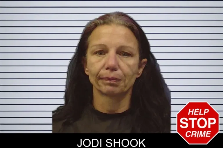 Jodi Shook