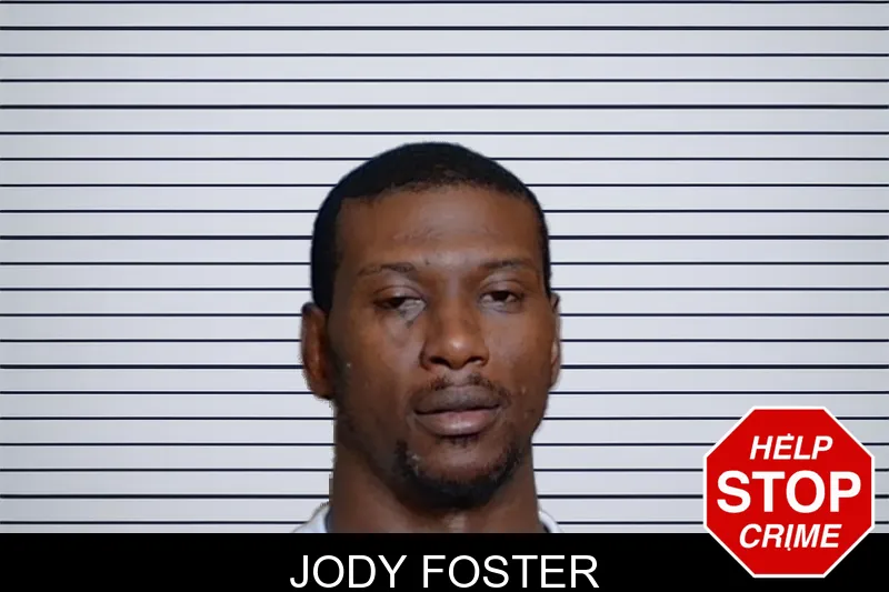 Jody Foster mugshot