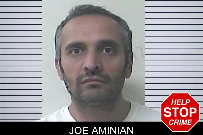 Joe Aminian mugshot – Oconee County , Georgia Joe Aminian mugshot