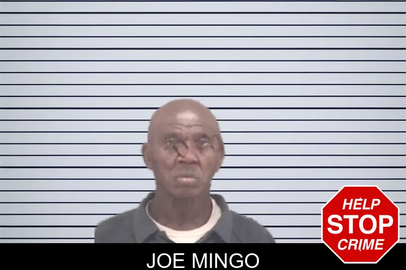 Joe Mingo mugshot