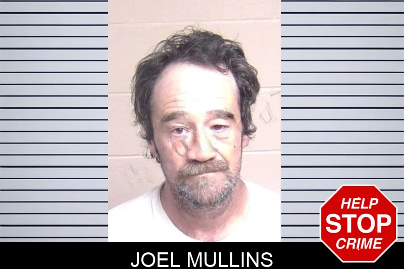 Joel Mullins mugshot