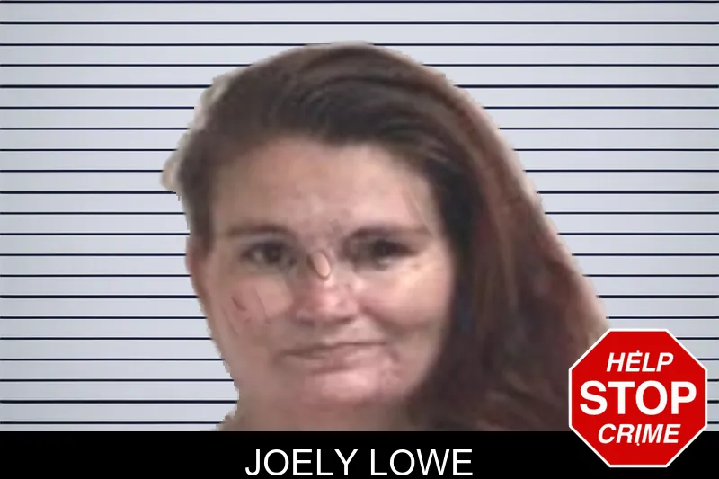 Joely Lowe mugshot