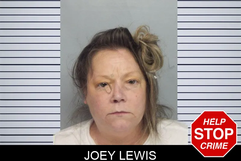 Joey Lewis mugshot – Hall County , Georgia Joey Lewis mugshot