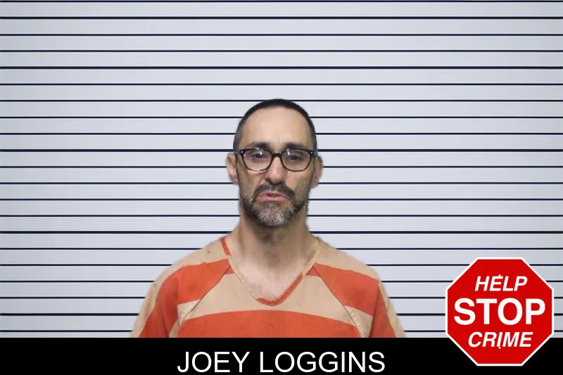 Joey Loggins mugshot