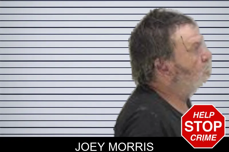 Joey Morris mugshot – Richmond County , Georgia Joey Morris mugshot