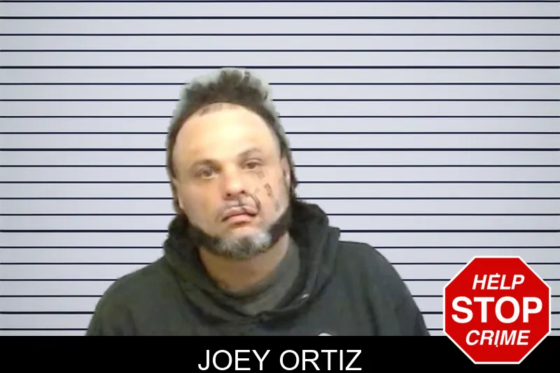Joey Ortiz mugshot