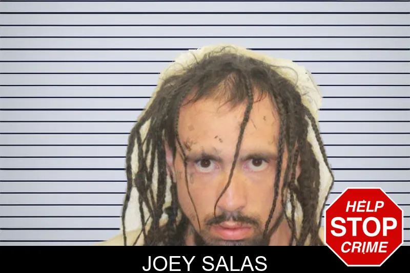 Joey Salas mugshot – Chatham County , Georgia Joey Salas mugshot
