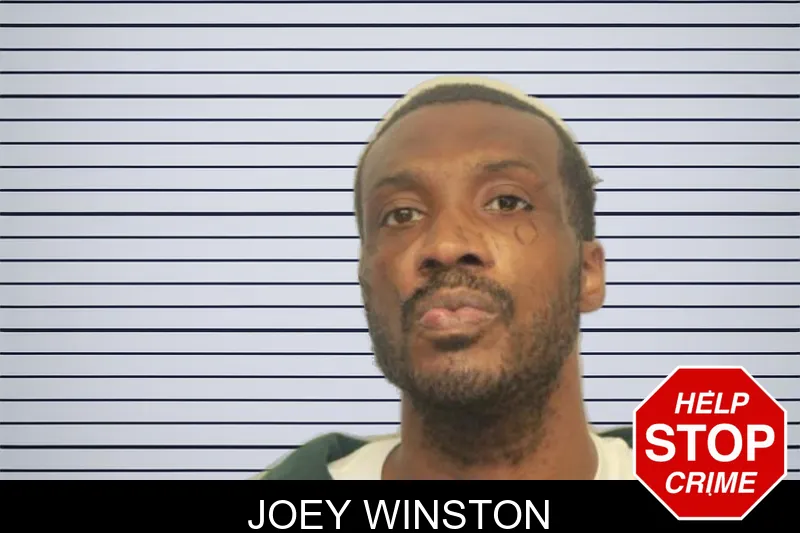 Joey Winston mugshot – Chatham County , Georgia Joey Winston mugshot