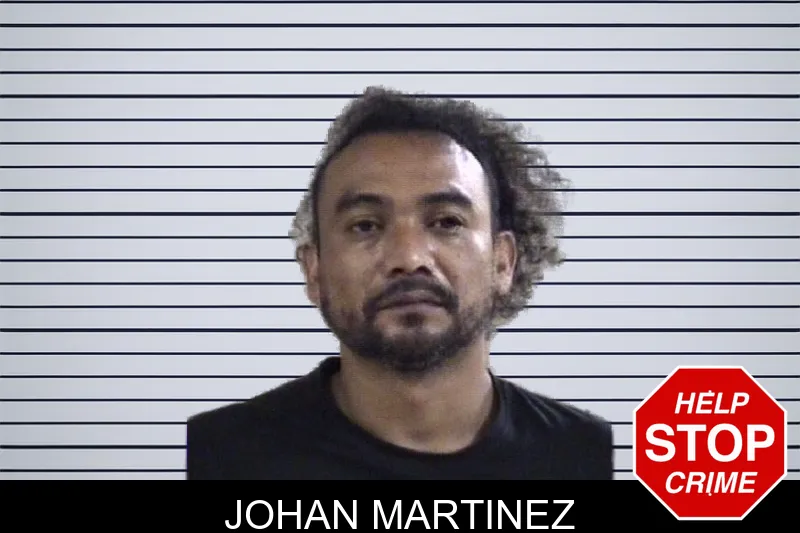 Johan Martinez mugshot