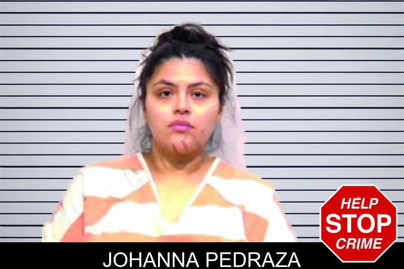 Johanna Pedraza mugshot