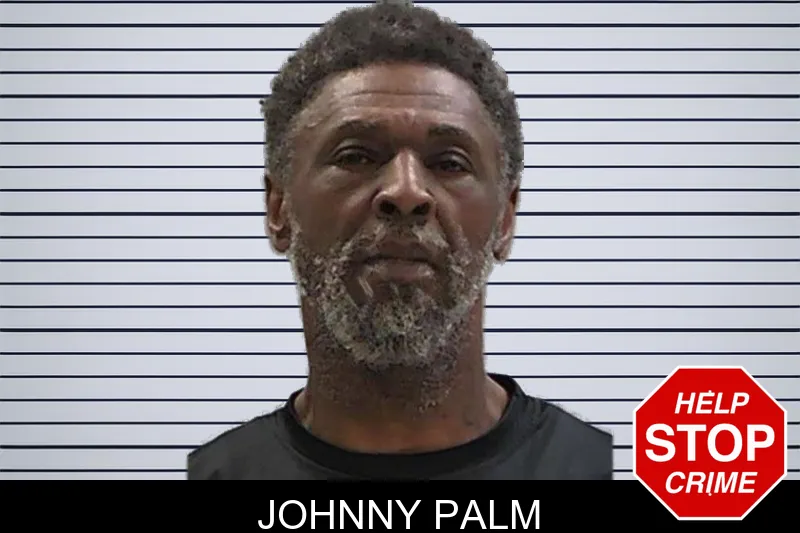 Johnny Palm mugshot