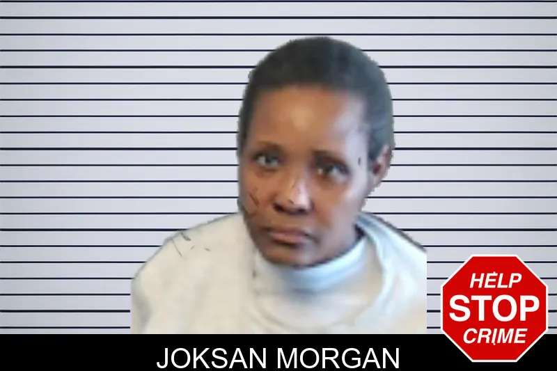 Joksan Morgan mugshot