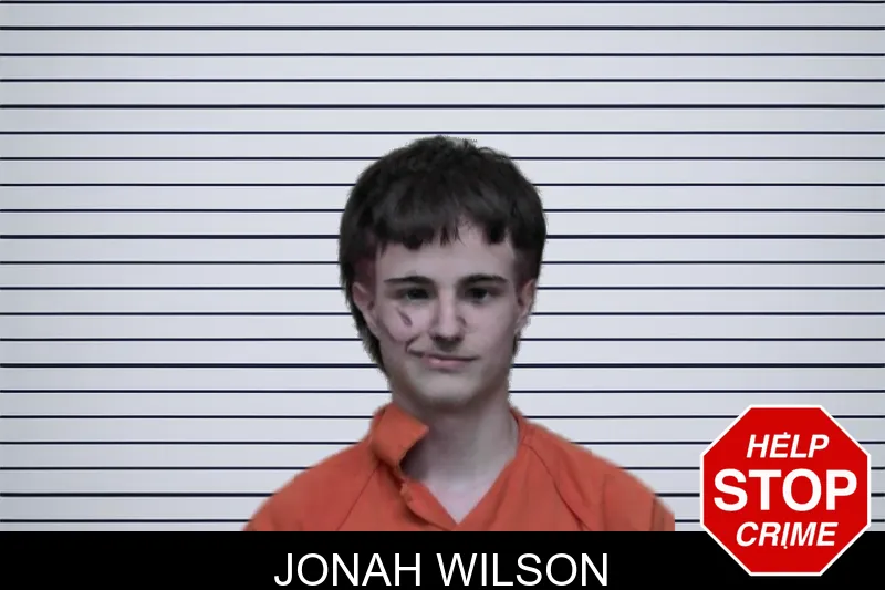Jonah Wilson mugshot
