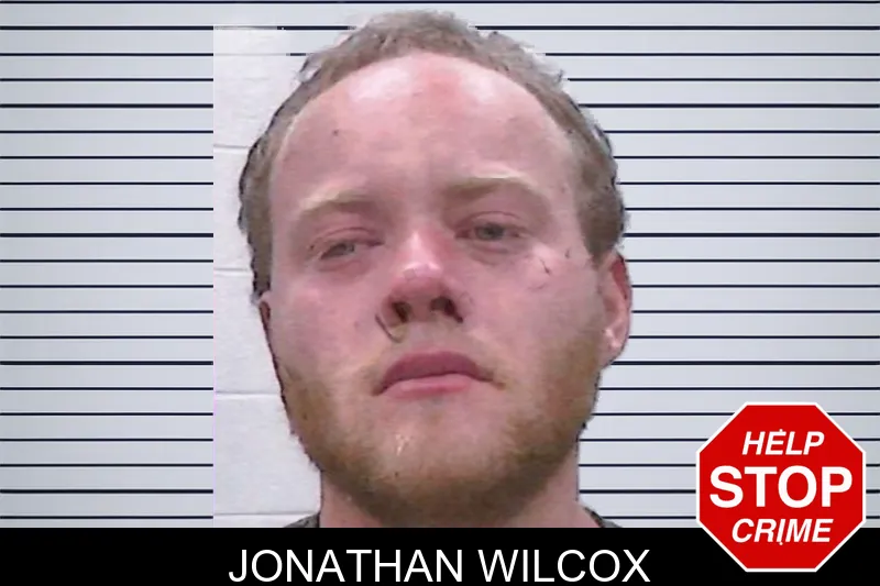 Jonathan Wilcox mugshot