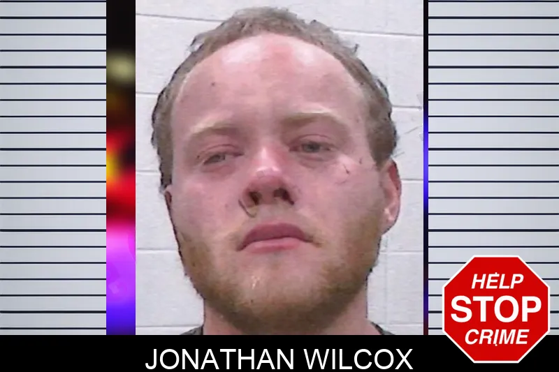 Jonathan Wilcox mugshot