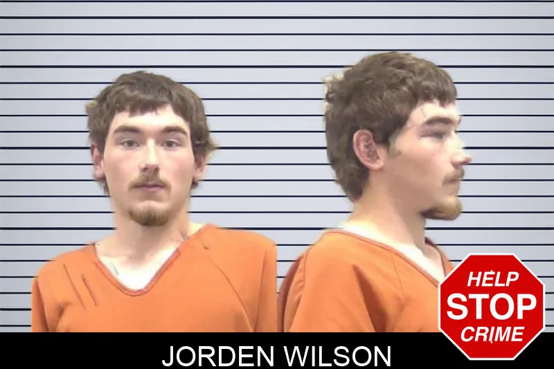 Jorden Wilson mugshot