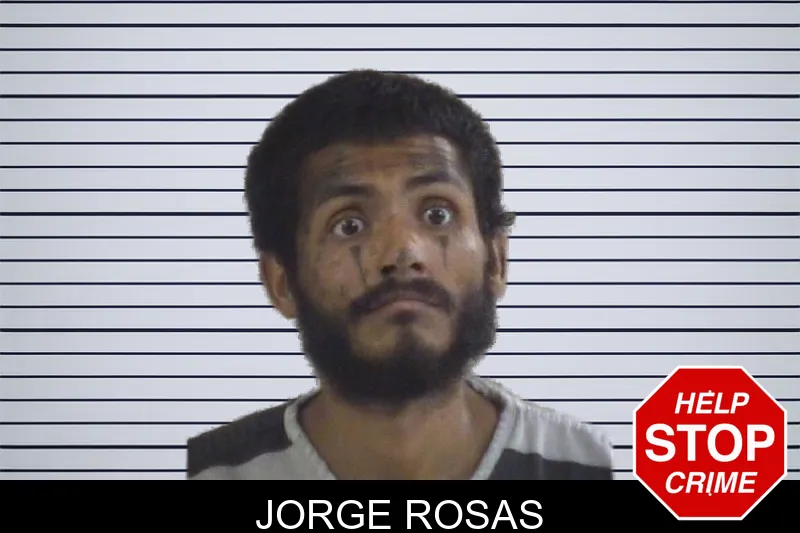 Jorge Rosas mugshot