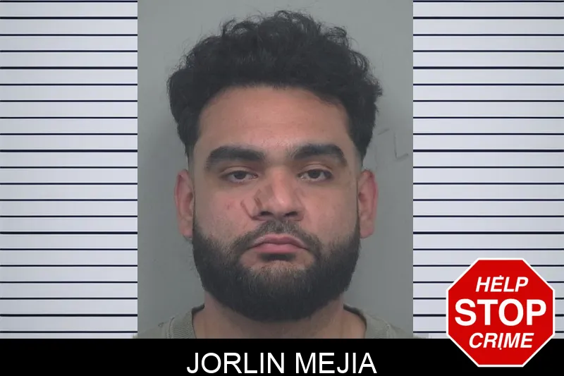 Jorlin Mejia mugshot