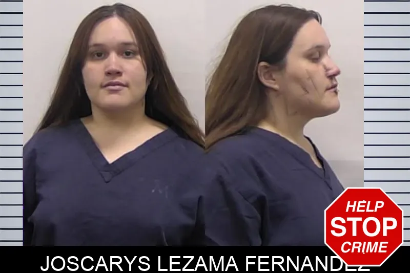 Joscarys Lezama Fernandez mugshot