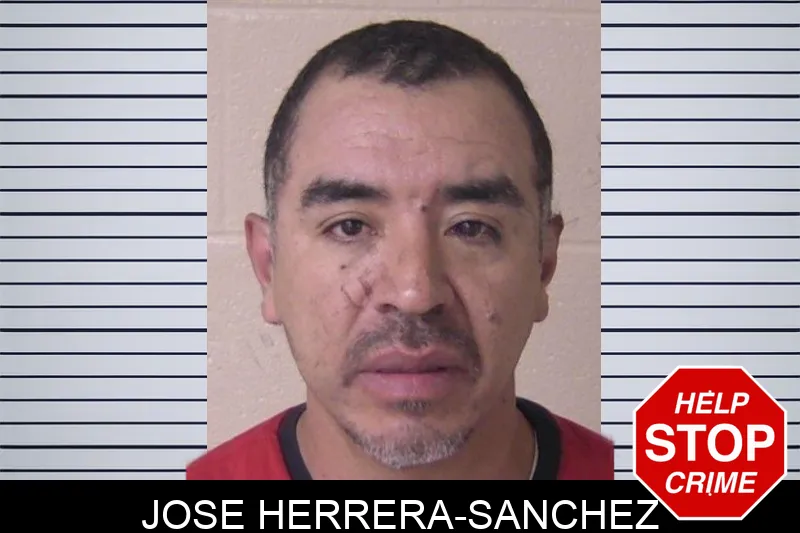 Jose Herrera-Sanchez mugshot