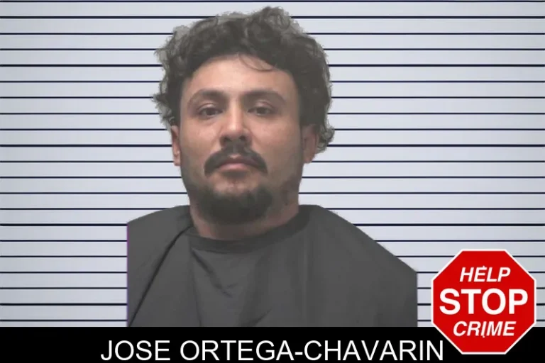 Jose Ortega-Chavarin