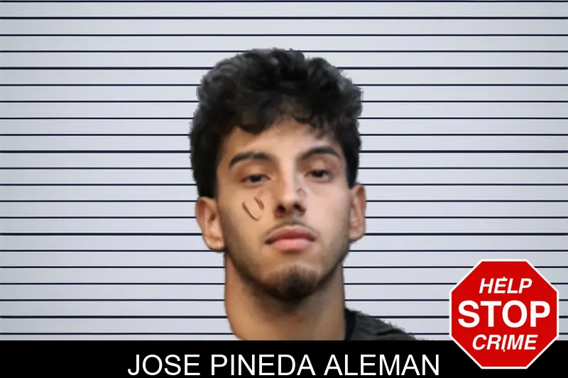 Jose Pineda Aleman mugshot