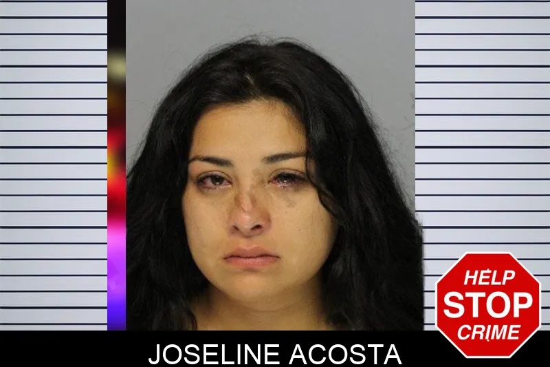 Joseline Acosta mugshot – Hall County , Georgia Joseline Acosta mugshot