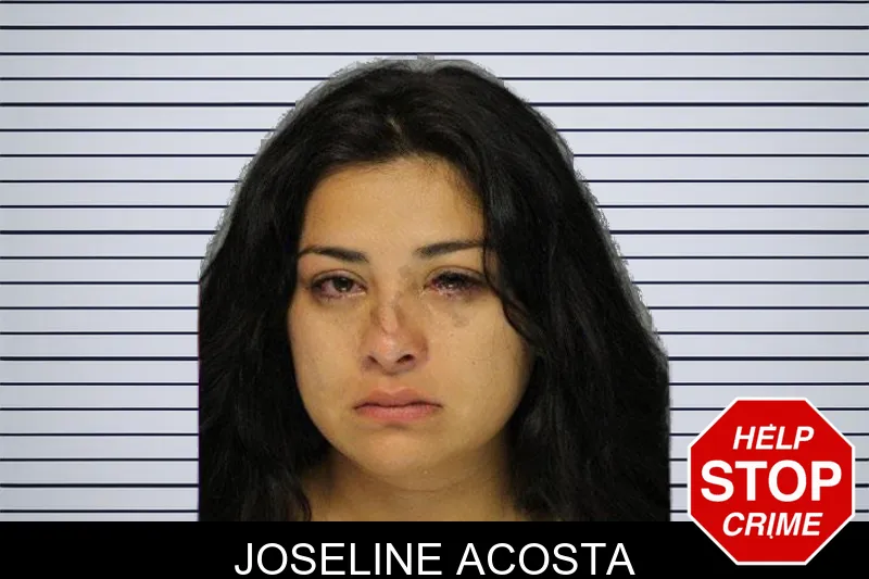 Joseline Acosta mugshot – Hall County , Georgia Joseline Acosta mugshot