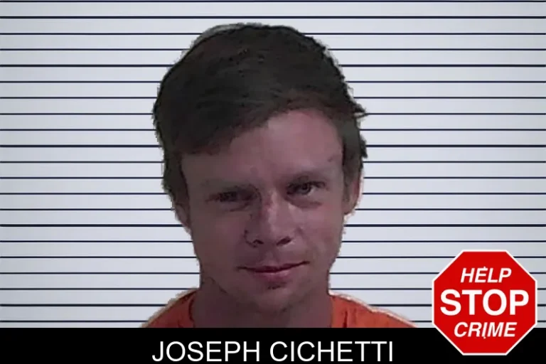 Joseph Cichetti mugshot – Fannin County , Georgia Joseph Cichetti