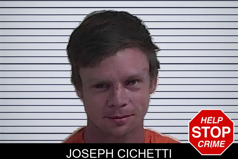 Joseph Cichetti mugshot – Fannin County , Georgia Joseph Cichetti mugshot