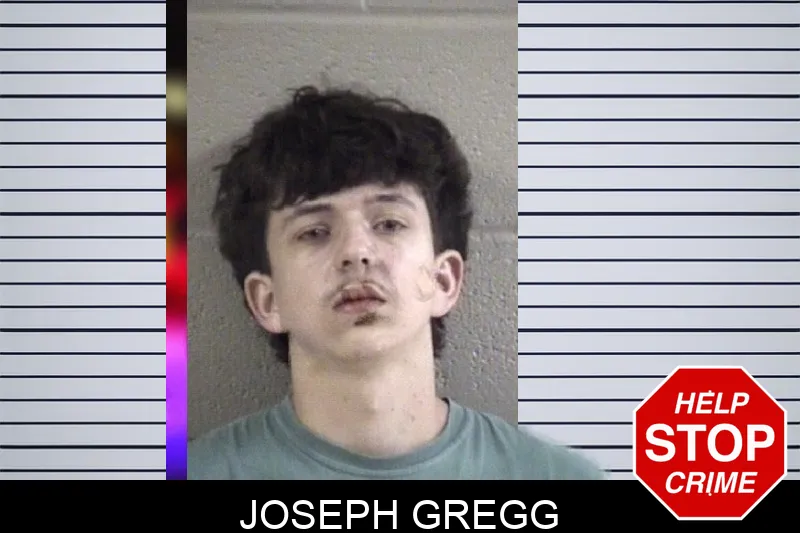 Joseph Gregg mugshot – Whitfield County , Georgia Joseph Gregg mugshot