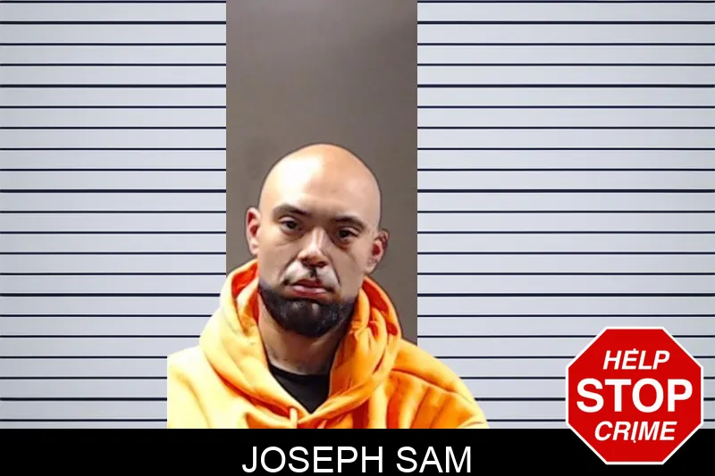 Joseph Sam mugshot – DeKalb County , Georgia Joseph Sam mugshot
