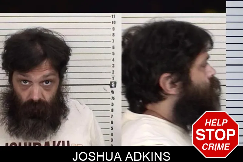 Joshua Adkins mugshot – Camden County , Georgia Joshua Adkins mugshot