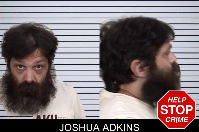 Joshua Adkins mugshot – Camden County , Georgia Joshua Adkins mugshot