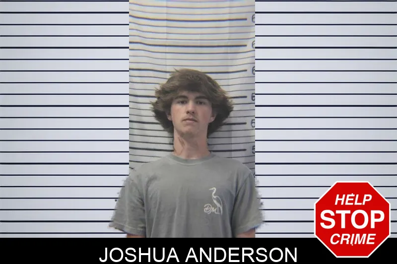 Joshua Anderson mugshot