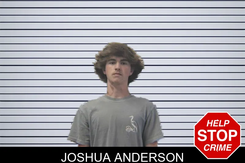 Joshua Anderson mugshot