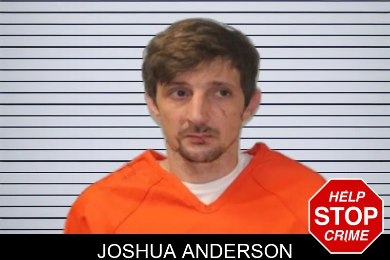 Joshua Anderson mugshot
