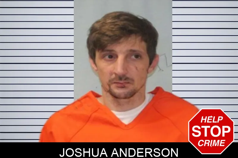 Joshua Anderson mugshot