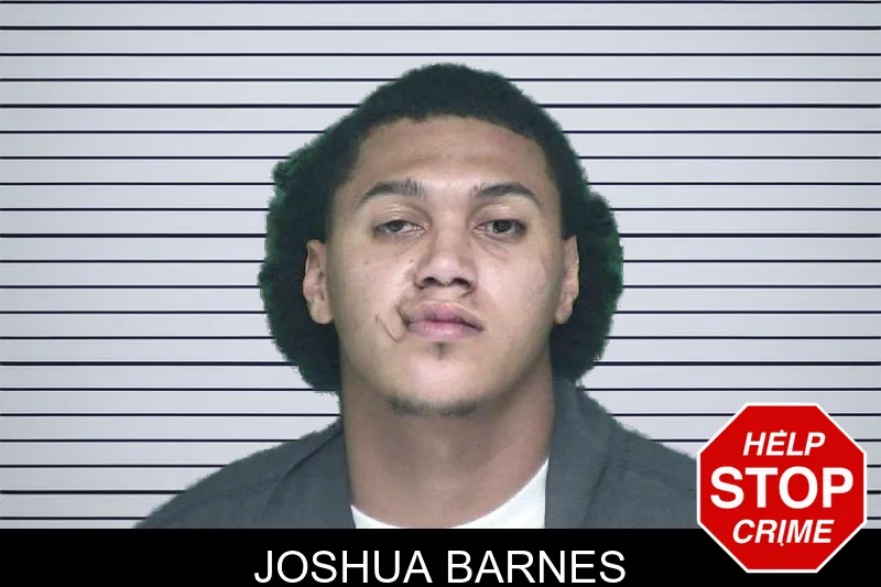 Joshua Barnes mugshot