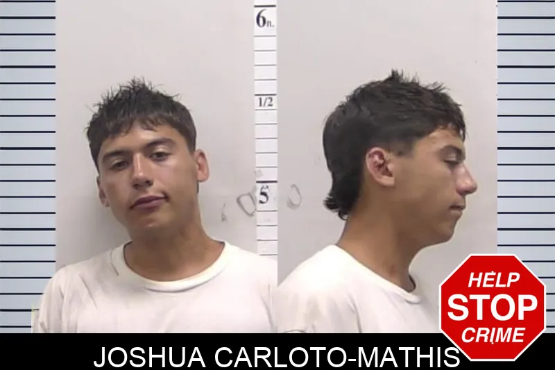 Joshua Carloto-Mathis mugshot