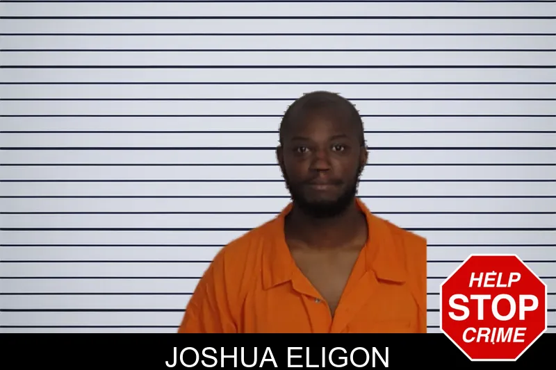 Joshua Eligon mugshot