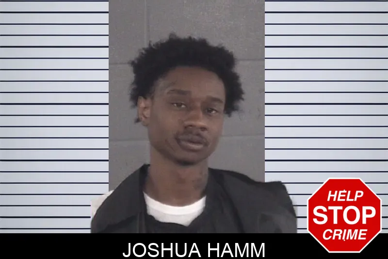 Joshua Hamm mugshot