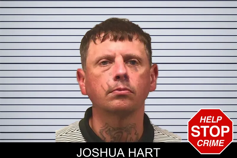 Joshua Hart mugshot – Bleckley County , Georgia Joshua Hart mugshot