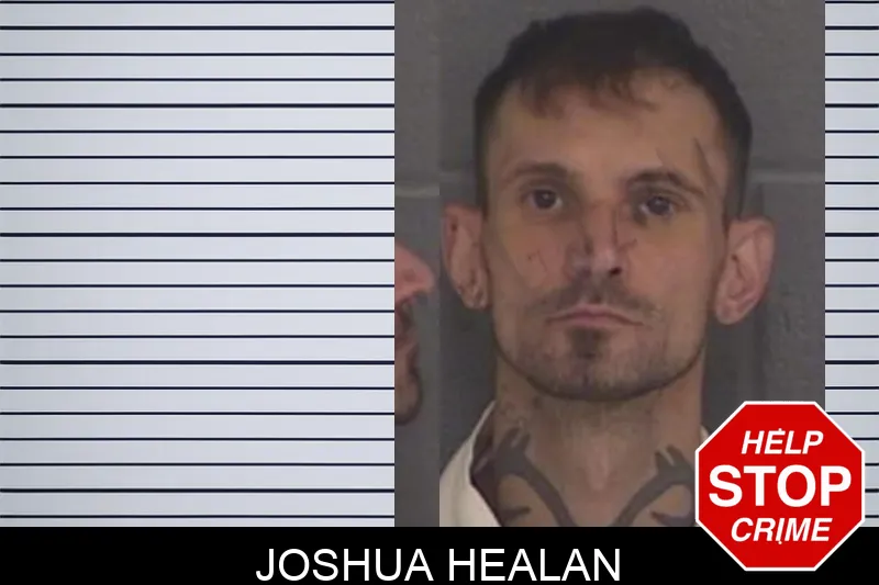 Joshua Healan mugshot