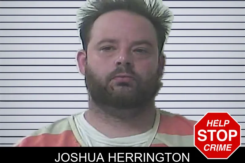 Joshua Herrington mugshot