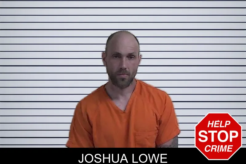 Joshua Lowe mugshot