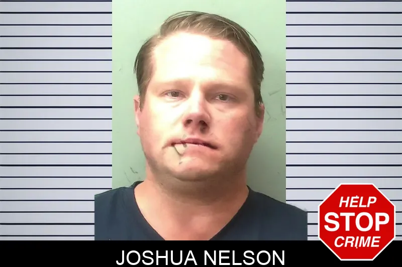 Joshua Nelson mugshot – Towns County , Georgia Joshua Nelson mugshot