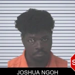 Joshua Ngoh mugshot