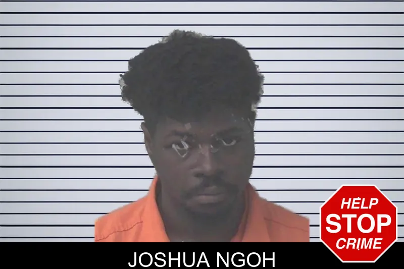 Joshua Ngoh mugshot